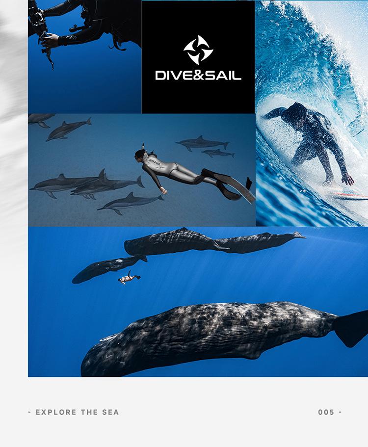DIVE&SAIL 2MM Long Sleeve Full Body Wetsuit for Diving & Surfing