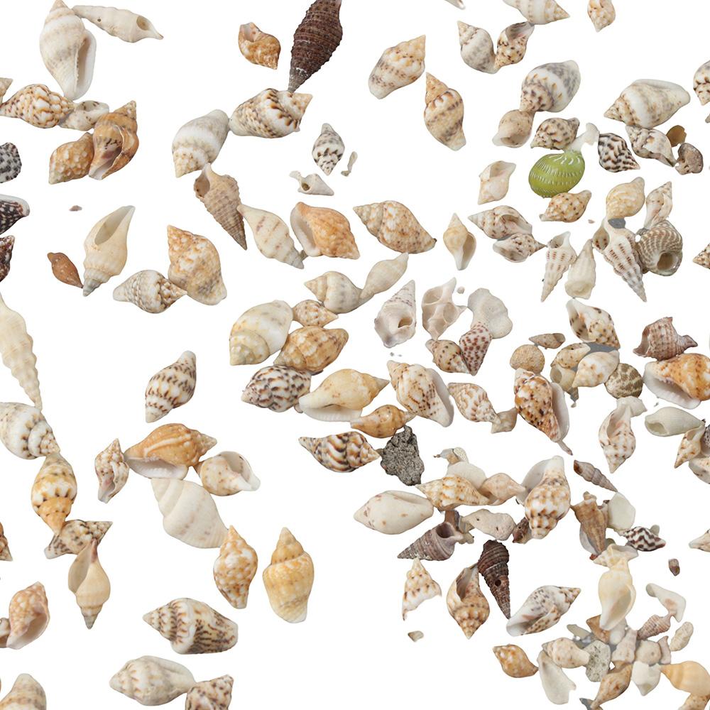 1500 шт. спиральных ракушек, морские ракушки, 1500 шт. подвесок-шармов из смешанных ракушек, пляжная тематическая вечеринка