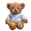 Teddy Bear Delightful Plush Stuffed Animal Cuddly Bear Doll Cute 30cm Design