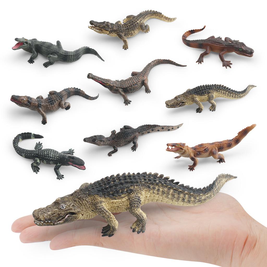Mini Crocodile Wild Boar Caiman Nile Crocodile Alligator Wildlife Animal Model Scale Miniatures Decorations Simulated Home Decor