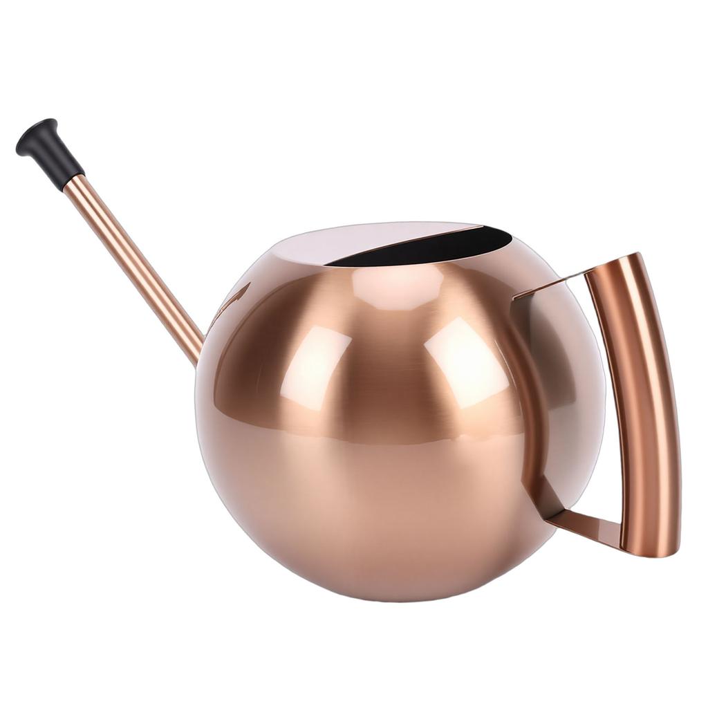 Watering Can with   Spout 1000ml Stainless Steel Round Indoor Plant Watering Can with Detachable Head for Home Garden Flower