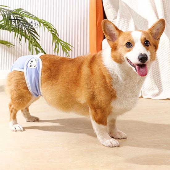 Менструальные штаны для домашних животных, подгузники для женщин и собак, гигиенические трусики, дышащие прокладки для собак, нижнее белье для маленьких и средних собак