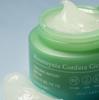 Tonymoly Houttuynia Cordata Cica Охлаждающий водянистый крем 100 мл
