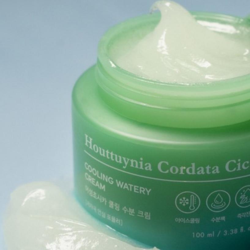 Tonymoly Houttuynia Cordata Cica Охлаждающий водянистый крем 100 мл