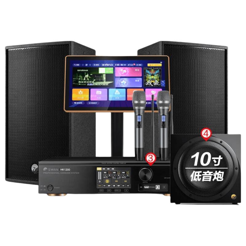 HiVi DS12 12-inch 2.1 Channel Home KTV Audio System (CN version)