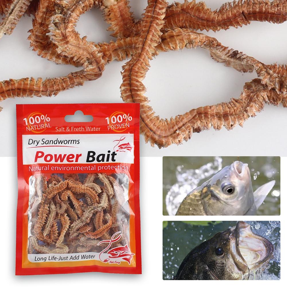 Lifelike Dry Lugworm Sandworms Fishing Lures Saltwater Freshwater Feeder Sea Fishing Worms Smell Soft Artificial Bait Lures