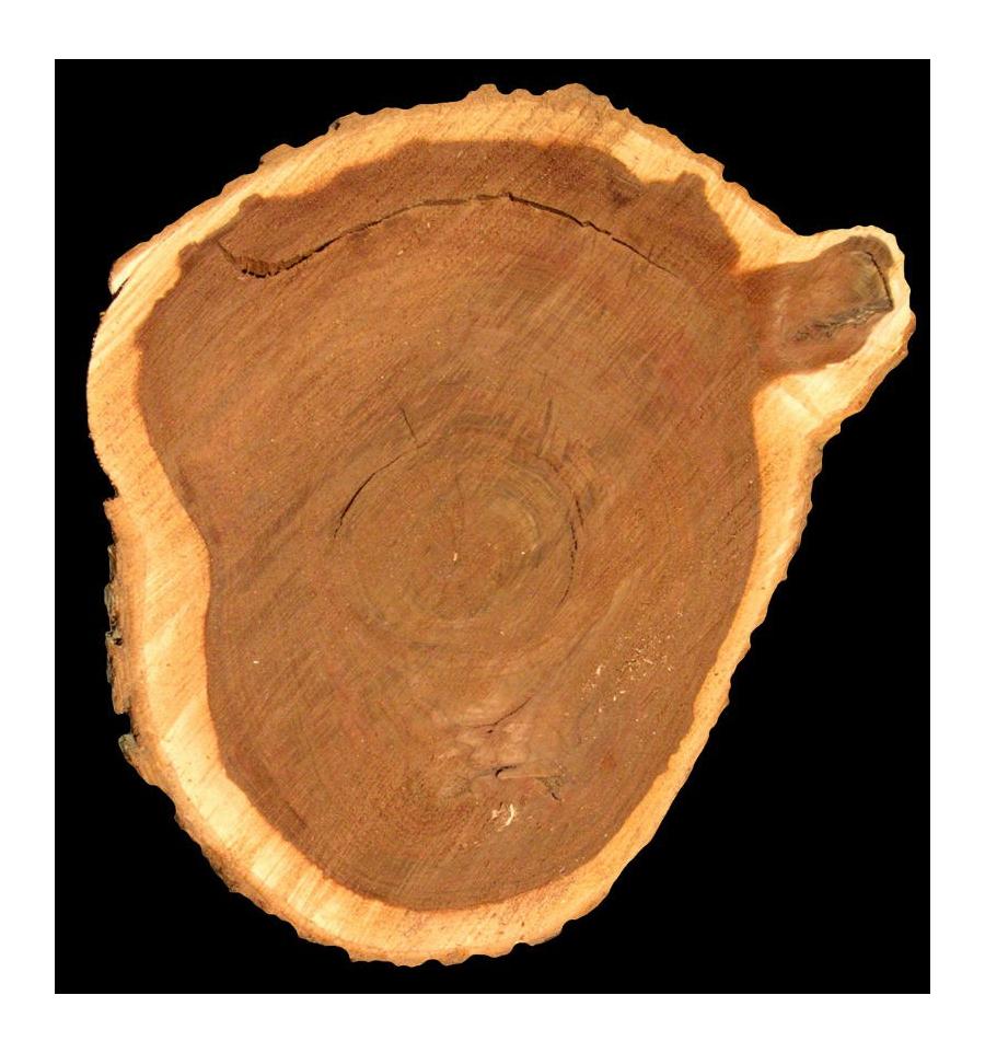 Парфюмированная вода Yodeyma Banner для женщин 100мл