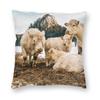 Charolais Cattle Square Pillowcase Polyester Linen Velvet Printed Zip Decorative Throw Pillow Case Car Cushion Cover Wholesale