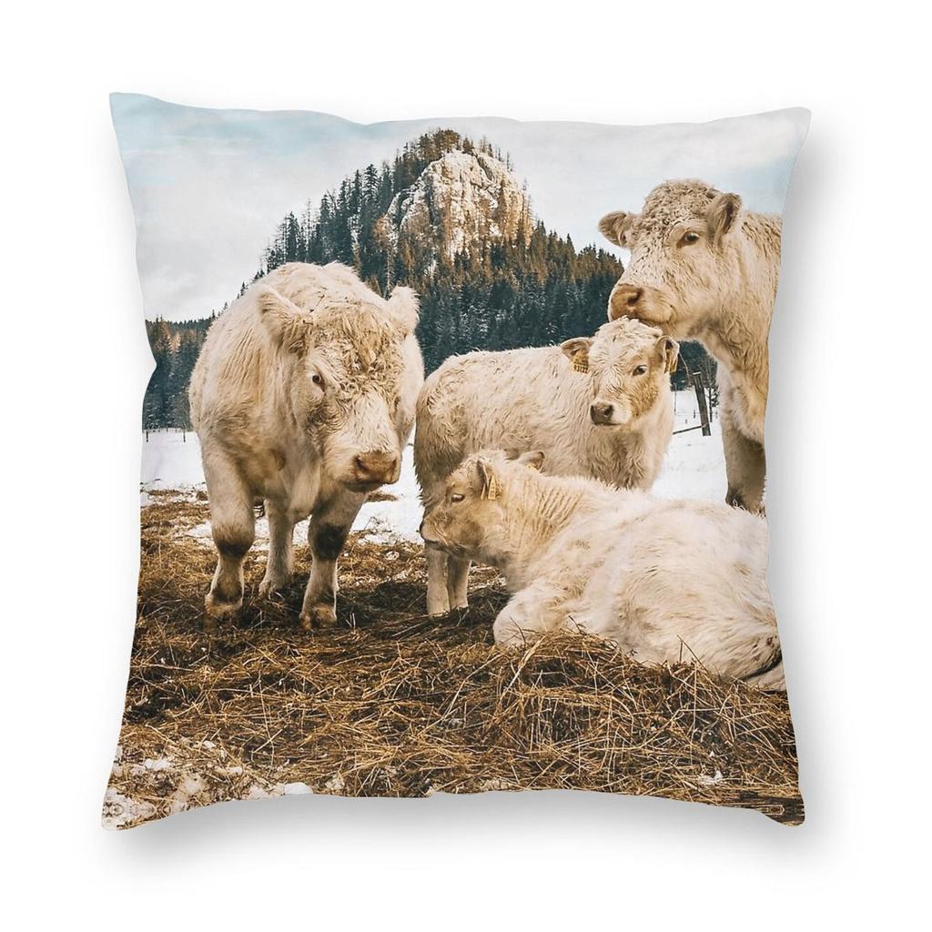 Charolais Cattle Square Pillowcase Polyester Linen Velvet Printed Zip Decorative Throw Pillow Case Car Cushion Cover Wholesale