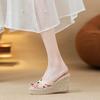 French Woven Platform Open-toed Sandals Women's Outer Wear Wedge Heel Cool Slippers Cross Belt Casual High Heels 2025 New