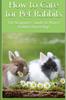Книга How To Care for Pet Rabbits : The Beginners Guide To House Rabbit Ownership