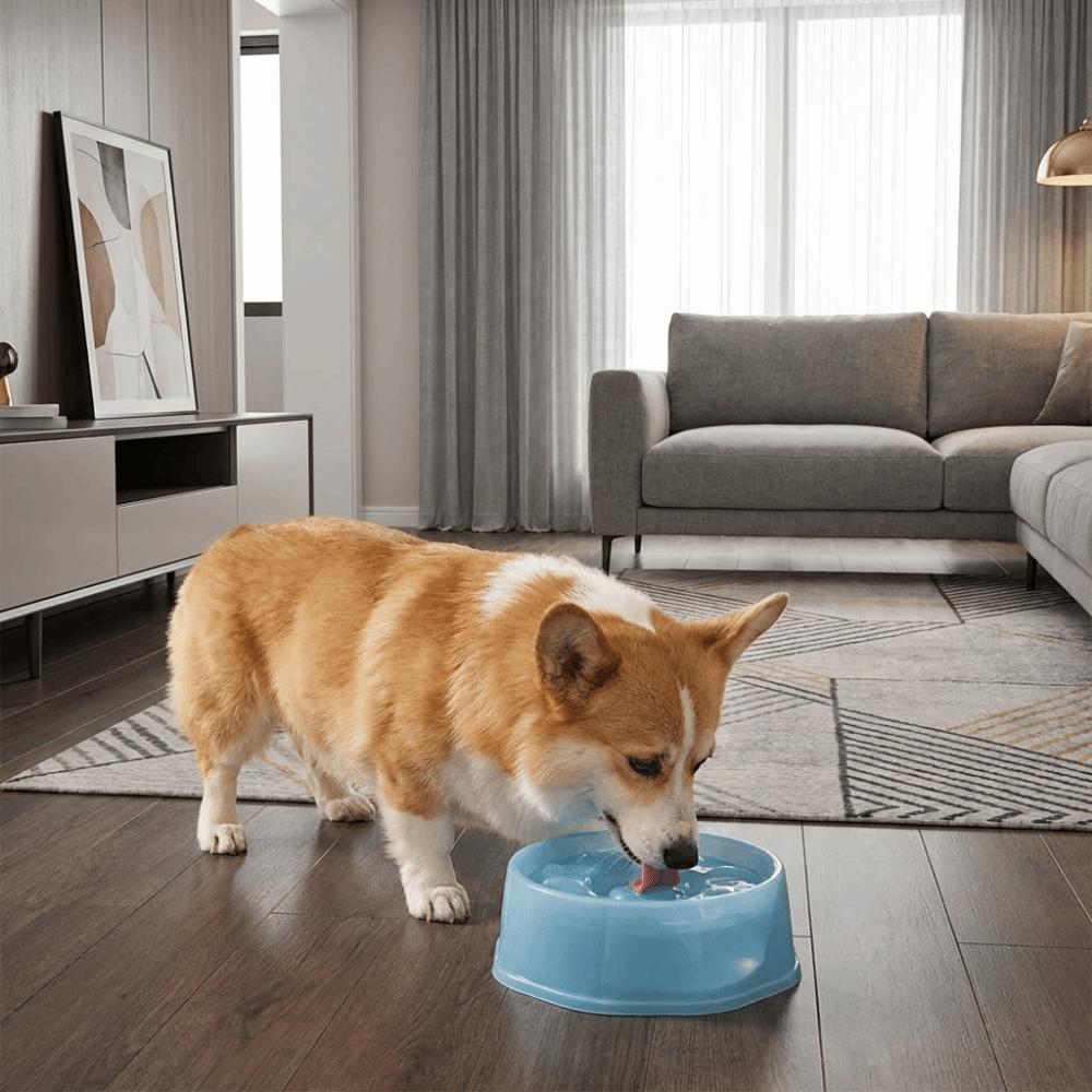 Anti-Splash Pet Floating Water Bowl Large Capacity Cat Bowl Dog Drinking Bowl for Cats and Dogs