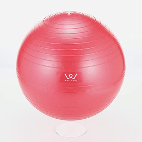 ALINCO Exercise Ball 55cm (Pink) WBN055P