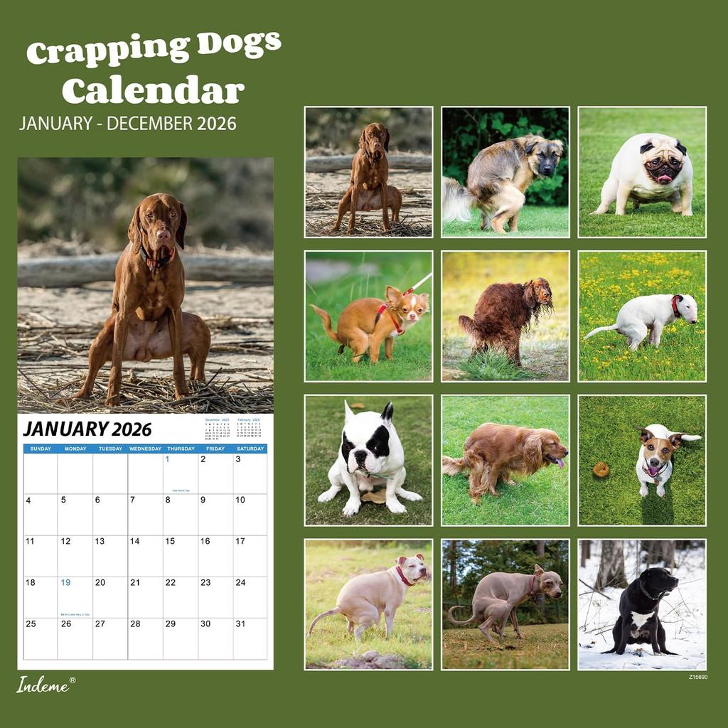 2026 Wall Calendar – 2026 Calendar, Jan 2026 - Dec 2026, 12 Monthly Pooping Dogs Calendar 2026, Funny Gag Gifts Dog Calendar, 11.8" x 23.6" (Open),