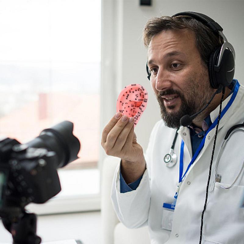 Модель рефлекторной зоны уха, рефлекторная зона, анатомия уха, демонстрационная модель, школьный класс, лекционный реквизит, для начинающих и профессионалов, учебное пособие