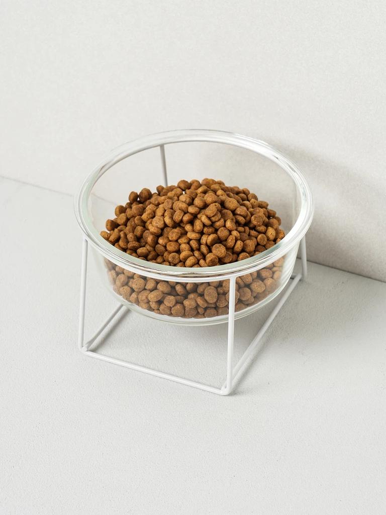 Transparent Pet Water Bowl