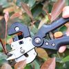 Professional Grafting Tools Grafter Pruner Kit Garden Fruit Tree Pruning Grafting Shears 2 In 1