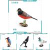 Pvc Bird Magpie Pigeon Model Set With Realistic Design For Nature Decor And Collectors