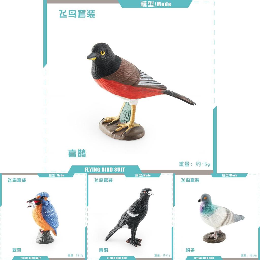 Pvc Bird Magpie Pigeon Model Set With Realistic Design For Nature Decor And Collectors