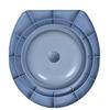 Classic Deodorant Toilet Seat Ring for Rural and Mobile Toilets