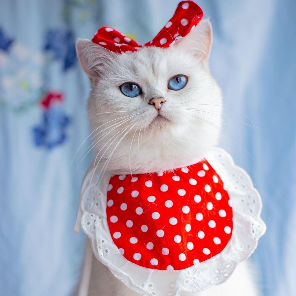Plaid elastic dog cat pet saliva towel lace lace pet triangle scarf bib supplies