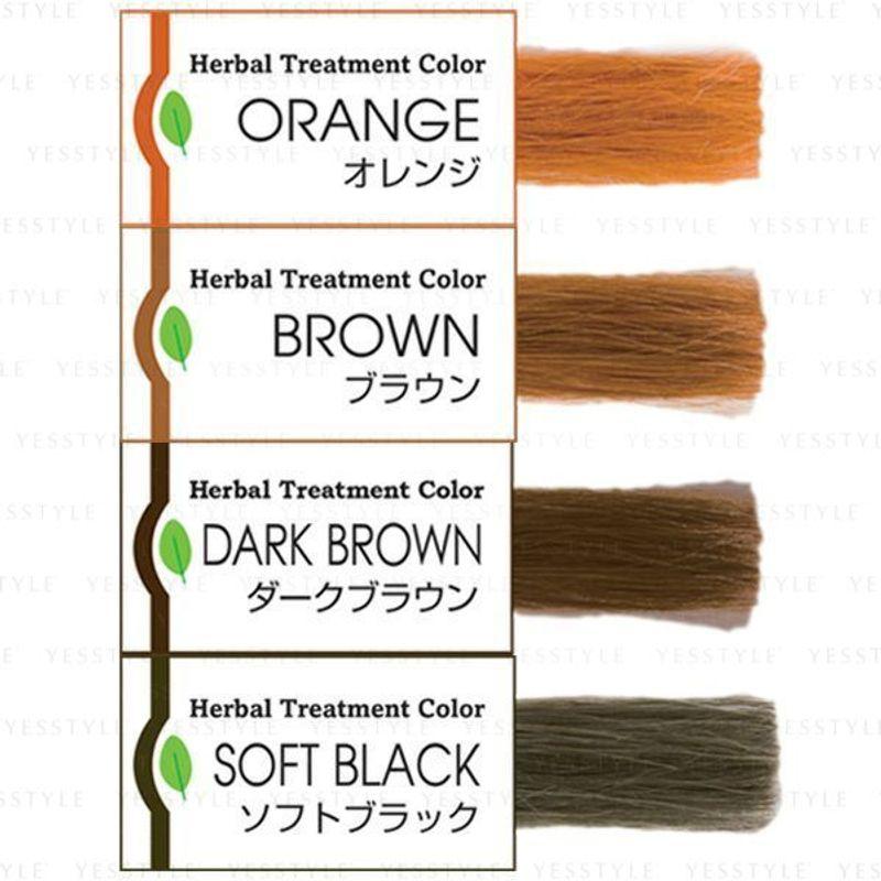 SimSim Japan - Набор-шейкер для окрашивания волос Madame Henna Herbal Treatment Color Shaker Set