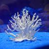 Fish Tank Aquascape Simulation Coral Water Plant Resin Fake Coral Aquarium Decorations Artificial Coral Ornaments for Aquarium