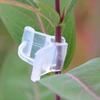5/25/30/50/100PCS Plastic Seeding Grafting Clip Tomato Clip Gardening Accessories Plant Support Clips Plant Stand Grafting Tools