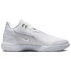 Nike Zoom LeBron Nxxt Gen Ampd 'Белый Серебристый' FJ1566-102