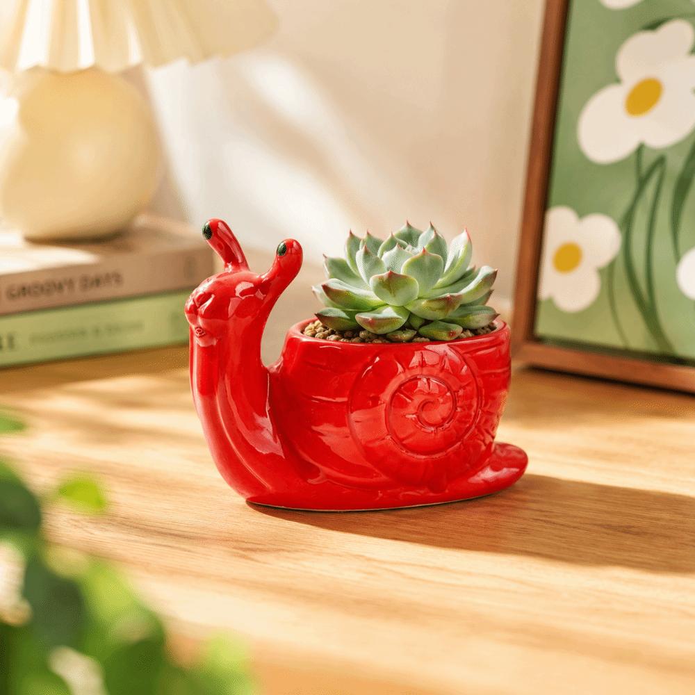 Storage Box Succulent Flowerpot Snail Shape Potted Planter Ceramic Flower Pot Indoor