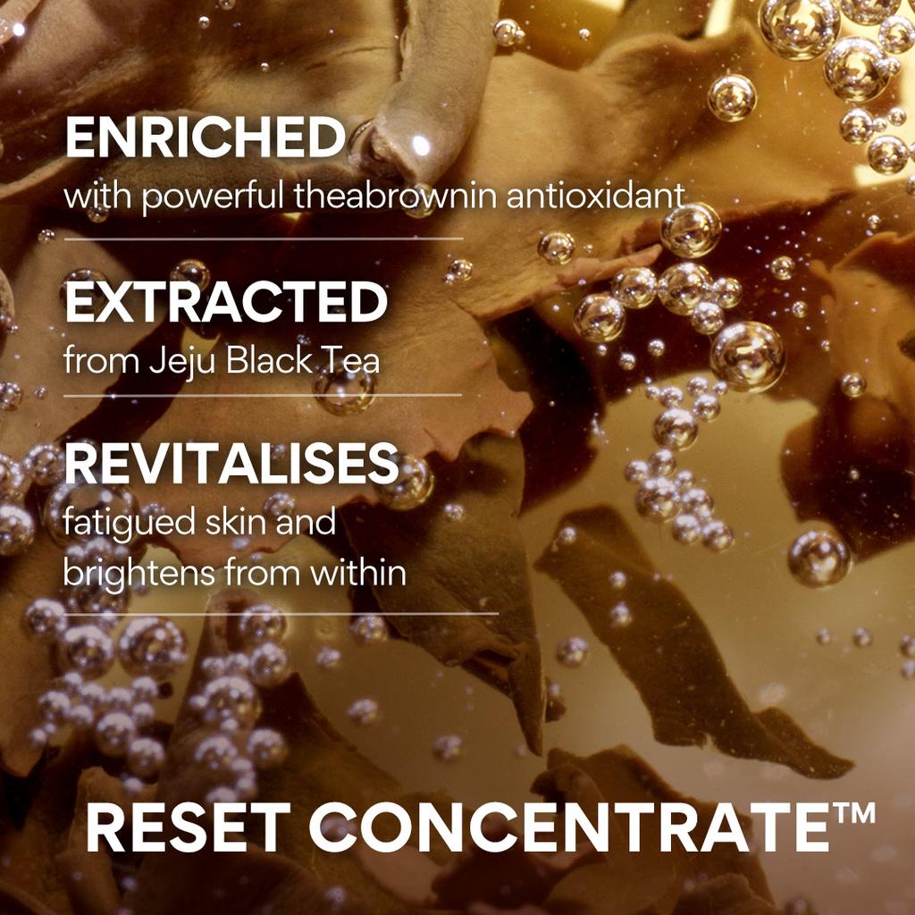 Innisfree Крем для молодости «Черный чай» 50 мл НОВИНКА