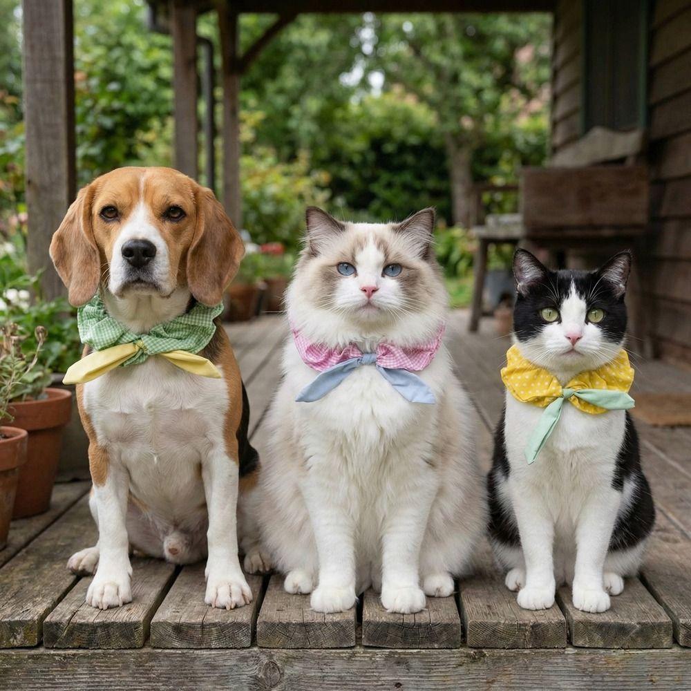 Comfortable Dog Collar Plaid Pattern Cat Neck Wear Pet Accessories Pet Cat Scarf Take Photos