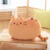 40x30 см Kawaii Biscuit Cat плюшевые игрушки куклы милый счастливый кот плюшевая подушка игрушки подушка для дома