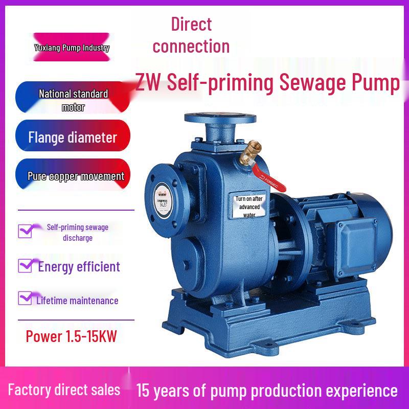 ZW High-Flow Horizontal Sewage Pump: Direct-Coupled, Industrial Three-Phase, Non-Clogging, Self-Priming Centrifugal Discharge Pump