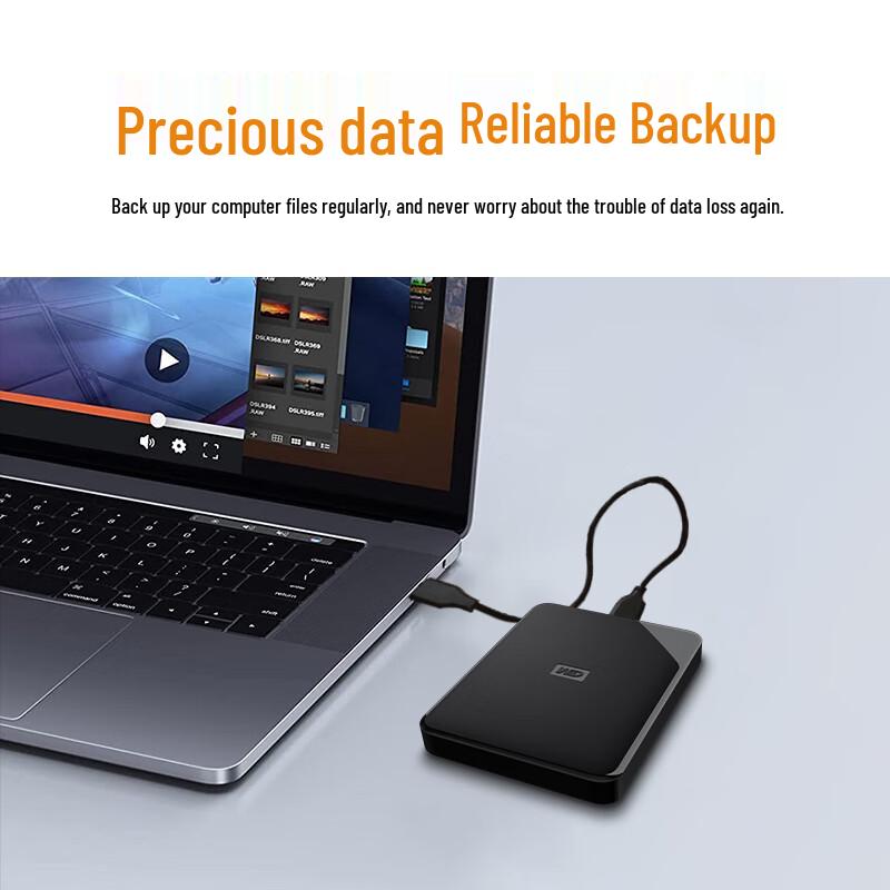 WD Портативный внешний жесткий диск серии SE