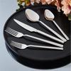 ArYildiz Santos 30 Piece Fork and Knife Set