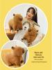Cute Plush Capybara Doll & Pillow - Lying Version Birthday Gift