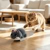 Funny Interactive Cat Toy Wear-resistant Cat Self Play Toy Electric Simulation Cat Toy  For Indoor
