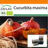 Garden in the Bag - Органический - Тыква - Хоккайдо - 5 семян - С субстратом в подходящем пакете - Cucurbita maxima