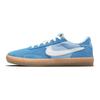 Nike Heritage Vulc SB Coast Psychic Синие мужские кроссовки белые CD5010-401