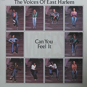 CD VOICES OF EAST HARLEM - Can You Feel It PCD2908 P-Vine Records 1994 Japan ObiSoul/Funk Б/У
