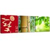 Set of Three Pictures Canvas Print Bamboo Leaf