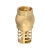 Anti Backflow Bottom Valve Female Thread Check Valve Brass Brass Foot Valve  Direct Supply