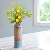 Artificial Lemon Branch with Green Leaf Simulation Fake Lemon Branch Lifelike Plant Stem for Home DIY Arrangement Decor