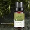 10ML Rosemary Essential Oil Moisturizing Rosemary Single Massage Oil for Beauty