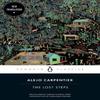The Lost Steps by Alejo Carpentier Paperback Book 9780143133896