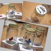 led butterfly jar for home decor