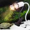 Turtle Basking Terrarium Heat Lamp Base for Reptile Tanks Turtles/Lizards/Frogs/Iguanas