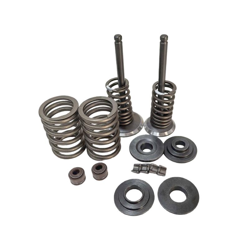 Cylinder Head Valve Kit for Honda TRX350 FourTrax Rancher 2003-2006 ATV 12200-HN5-670