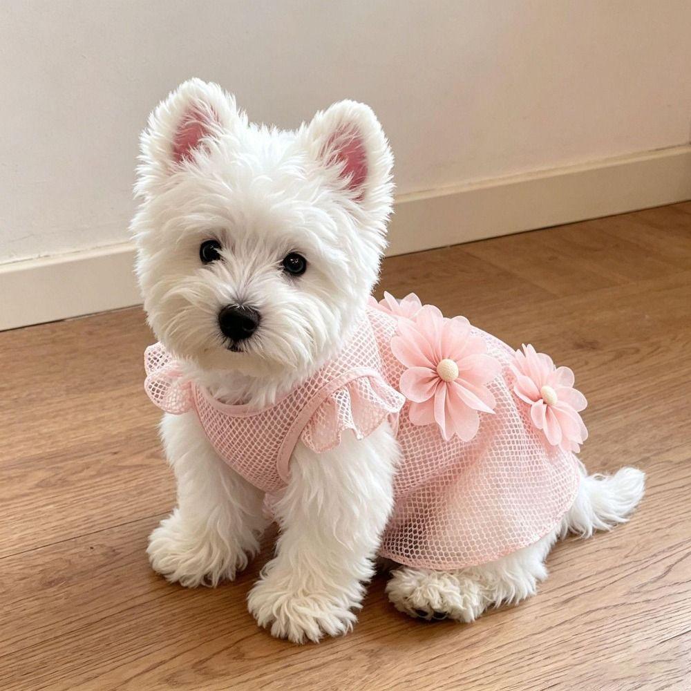 3D Flowers Cat Dog Dress Breathable Cat Dog Outfit Fashion Pet Sundress  Pet 0-8 Kg